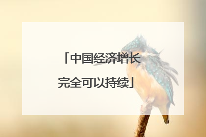 中国经济增长完全可以持续
