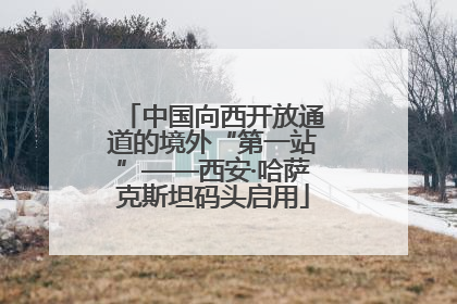 中国向西开放通道的境外“第一站”——西安·哈萨克斯坦码头启用