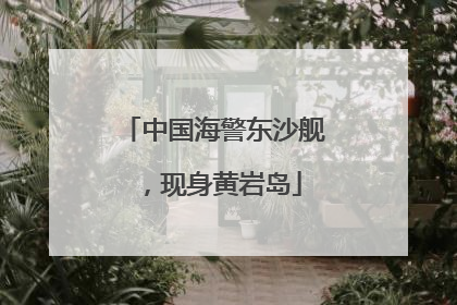 中国海警东沙舰，现身黄岩岛