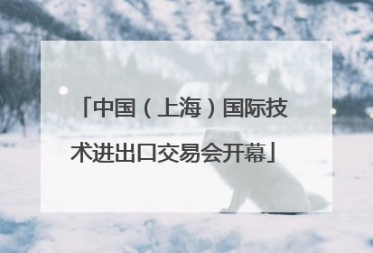 中国（上海）国际技术进出口交易会开幕