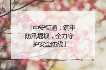 中安街道：筑牢防汛堤坝，全力守护安全防线