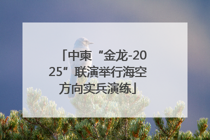 中柬“金龙-2025”联演举行海空方向实兵演练
