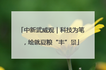 中新武威观｜科技为笔，绘就夏粮“丰”景
