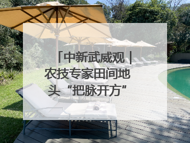 中新武威观｜农技专家田间地头“把脉开方”送“及时雨”