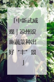 中新武威观｜凉州设施蔬菜种出好“丰”景