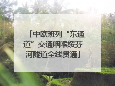 中欧班列“东通道”交通咽喉绥芬河隧道全线贯通