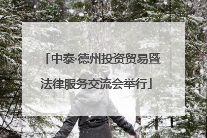 中泰·德州投资贸易暨法律服务交流会举行