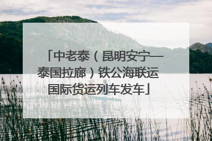 中老泰（昆明安宁—泰国拉廊）铁公海联运国际货运列车发车