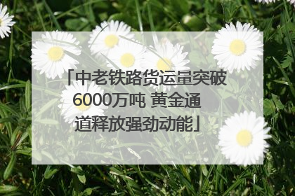 中老铁路货运量突破6000万吨 黄金通道释放强劲动能