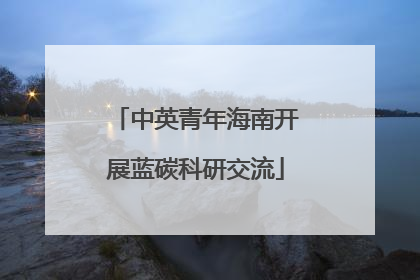 中英青年海南开展蓝碳科研交流
