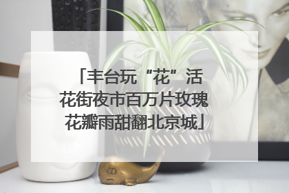 丰台玩“花”活 花街夜市百万片玫瑰花瓣雨甜翻北京城