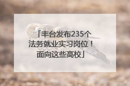 丰台发布235个法务就业实习岗位！面向这些高校