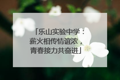 乐山实验中学：薪火相传情谊浓，青春接力共奋进