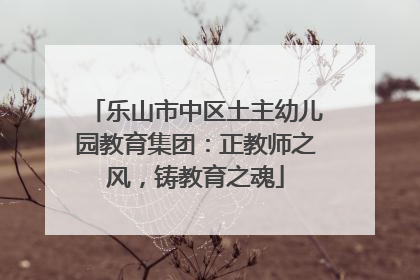 乐山市中区土主幼儿园教育集团：正教师之风，铸教育之魂
