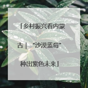 乡村振兴看内蒙古｜“沙漠蓝莓”种出紫色未来