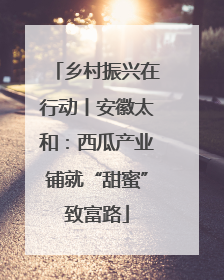 乡村振兴在行动丨安徽太和：西瓜产业铺就“甜蜜”致富路