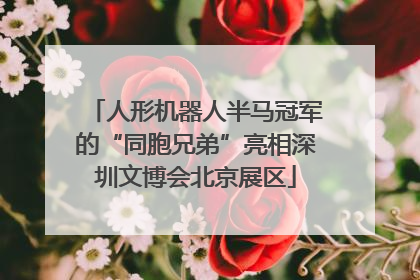 人形机器人半马冠军的“同胞兄弟”亮相深圳文博会北京展区
