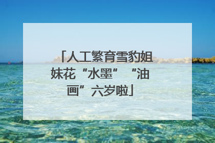 人工繁育雪豹姐妹花“水墨”“油画”六岁啦