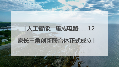 人工智能、集成电路……12家长三角创新联合体正式成立