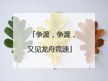 争渡，争渡，又见龙舟竞速