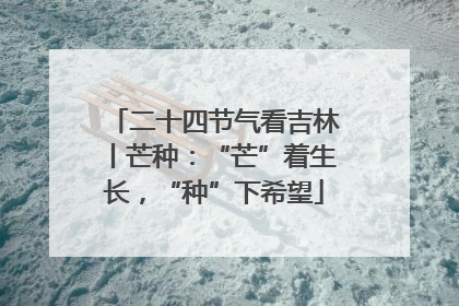 二十四节气看吉林丨芒种：“芒”着生长，“种”下希望
