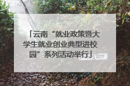 云南“就业政策暨大学生就业创业典型进校园”系列活动举行