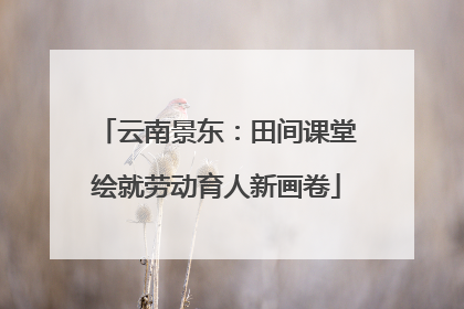 云南景东：田间课堂绘就劳动育人新画卷