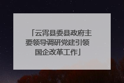 云霄县委县政府主要领导调研党建引领国企改革工作