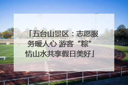 五台山景区：志愿服务暖人心 游客“粽”情山水共享假日美好