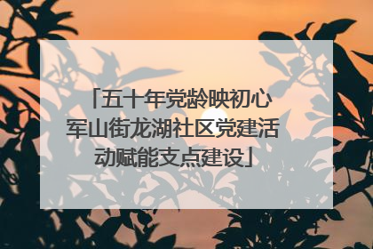 五十年党龄映初心 军山街龙湖社区党建活动赋能支点建设