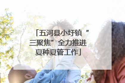 五河县小圩镇“三聚焦”全力推进夏种夏管工作