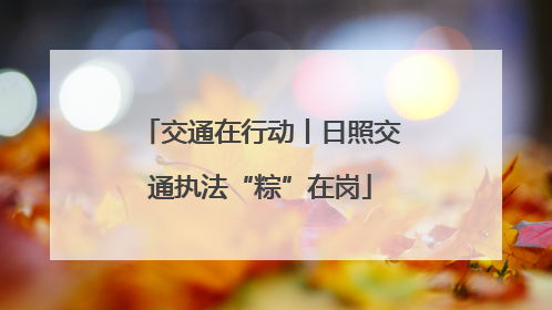 交通在行动丨日照交通执法“粽”在岗