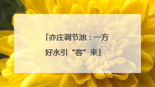 亦庄调节池：一方好水引“客”来