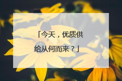 今天，优质供给从何而来？