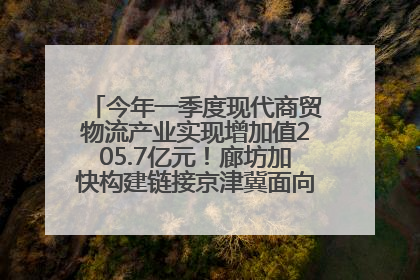今年一季度现代商贸物流产业实现增加值205.7亿元！廊坊加快构建链接京津冀面向全世界的物流通道