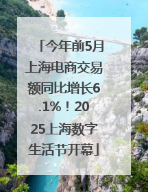 今年前5月上海电商交易额同比增长6.1%！2025上海数字生活节开幕