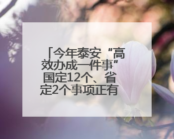 今年泰安“高效办成一件事”国定12个、省定2个事项正有序推进