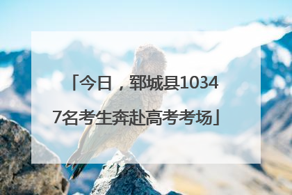 今日，郓城县10347名考生奔赴高考考场