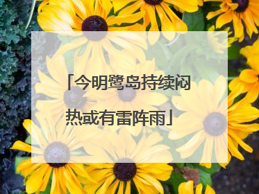 今明鹭岛持续闷热或有雷阵雨