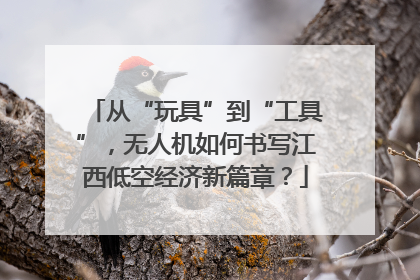 从“玩具”到“工具”，无人机如何书写江西低空经济新篇章？