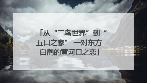 从“二鸟世界”到“五口之家” 一对东方白鹳的黄河口之恋