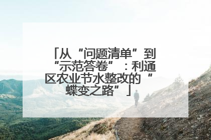 从“问题清单”到“示范答卷”：利通区农业节水整改的“蝶变之路”