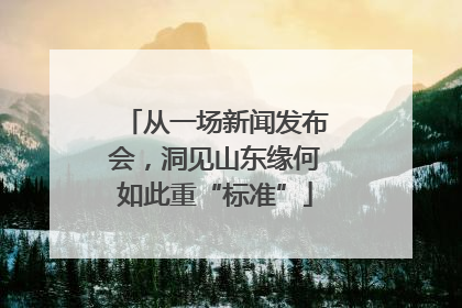 从一场新闻发布会，洞见山东缘何如此重“标准”