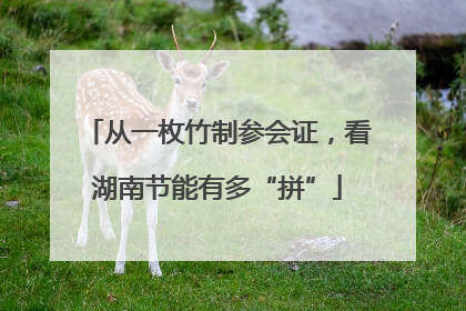 从一枚竹制参会证，看湖南节能有多“拼”