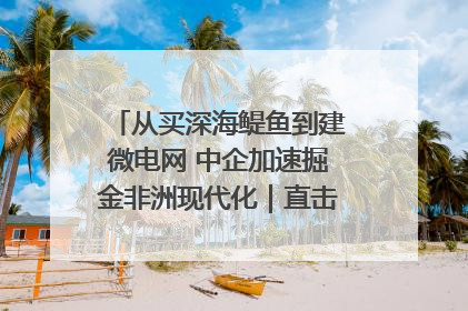 从买深海鳀鱼到建微电网 中企加速掘金非洲现代化｜直击中非经贸博览会