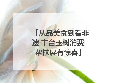 从品美食到看非遗 丰台玉树消费帮扶展有惊喜