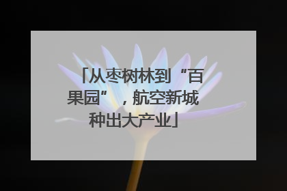 从枣树林到“百果园”，航空新城种出大产业