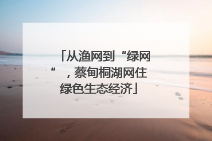 从渔网到“绿网”，蔡甸桐湖网住绿色生态经济