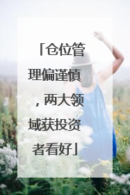 仓位管理偏谨慎，两大领域获投资者看好