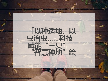以种适地、以虫治虫……科技赋能“三夏” “智慧种地”绘就好“丰”景